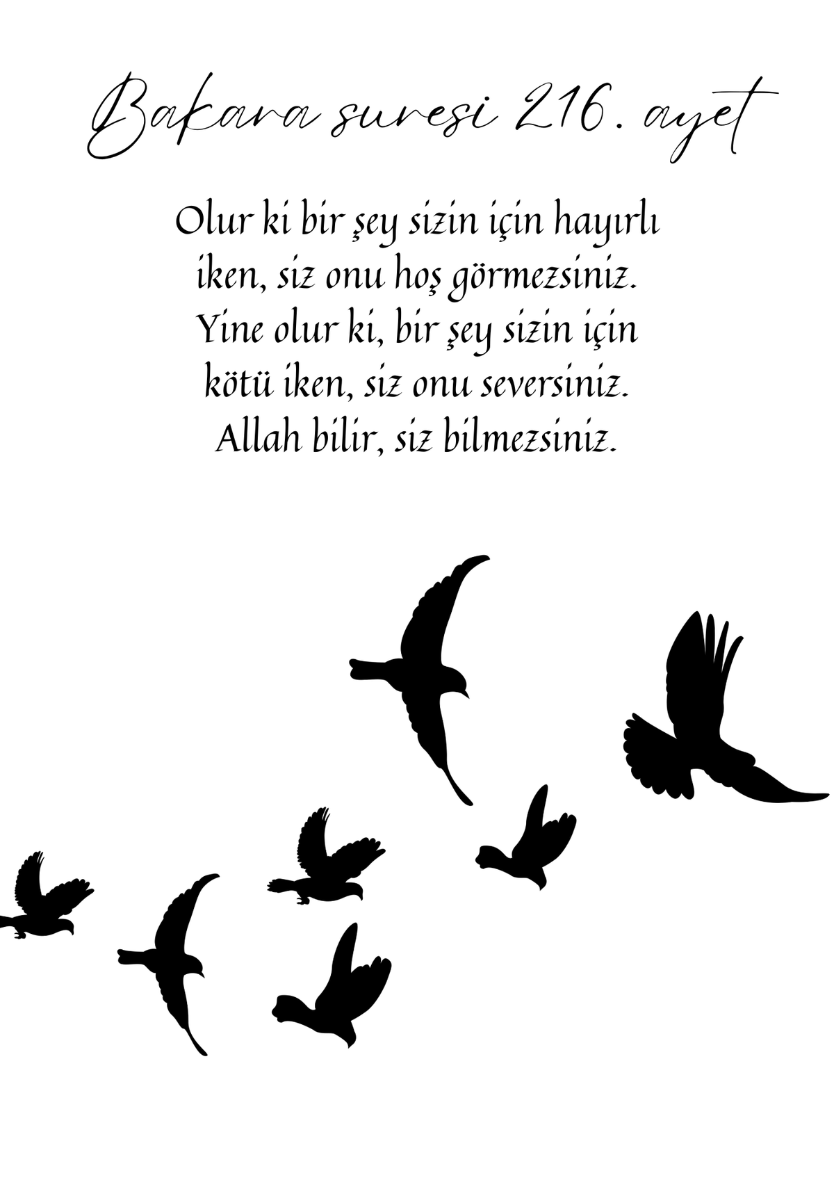 Bakara suresi 216. ayet Poster